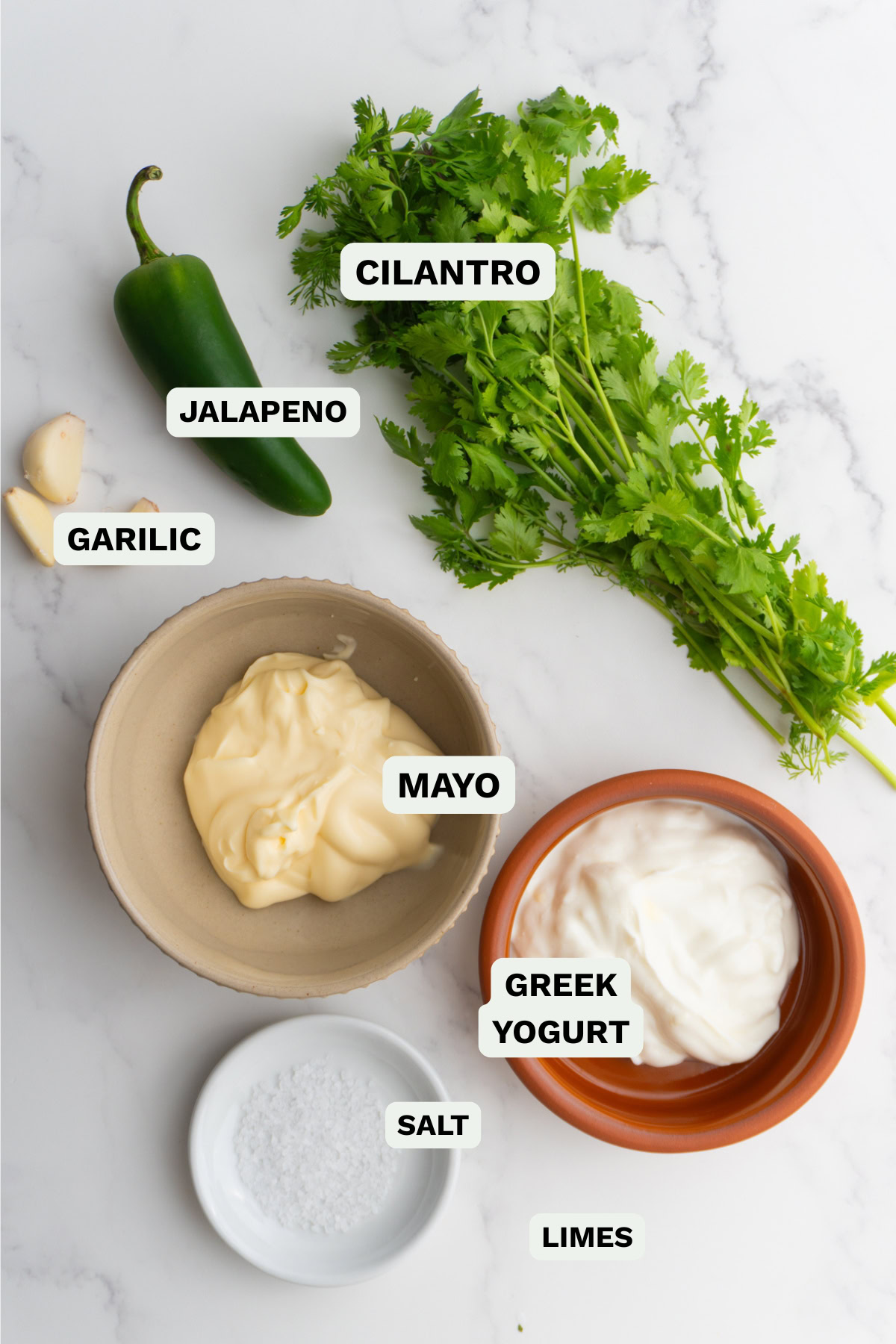 Ingredients needed to make jalapeño cilantro sauce.