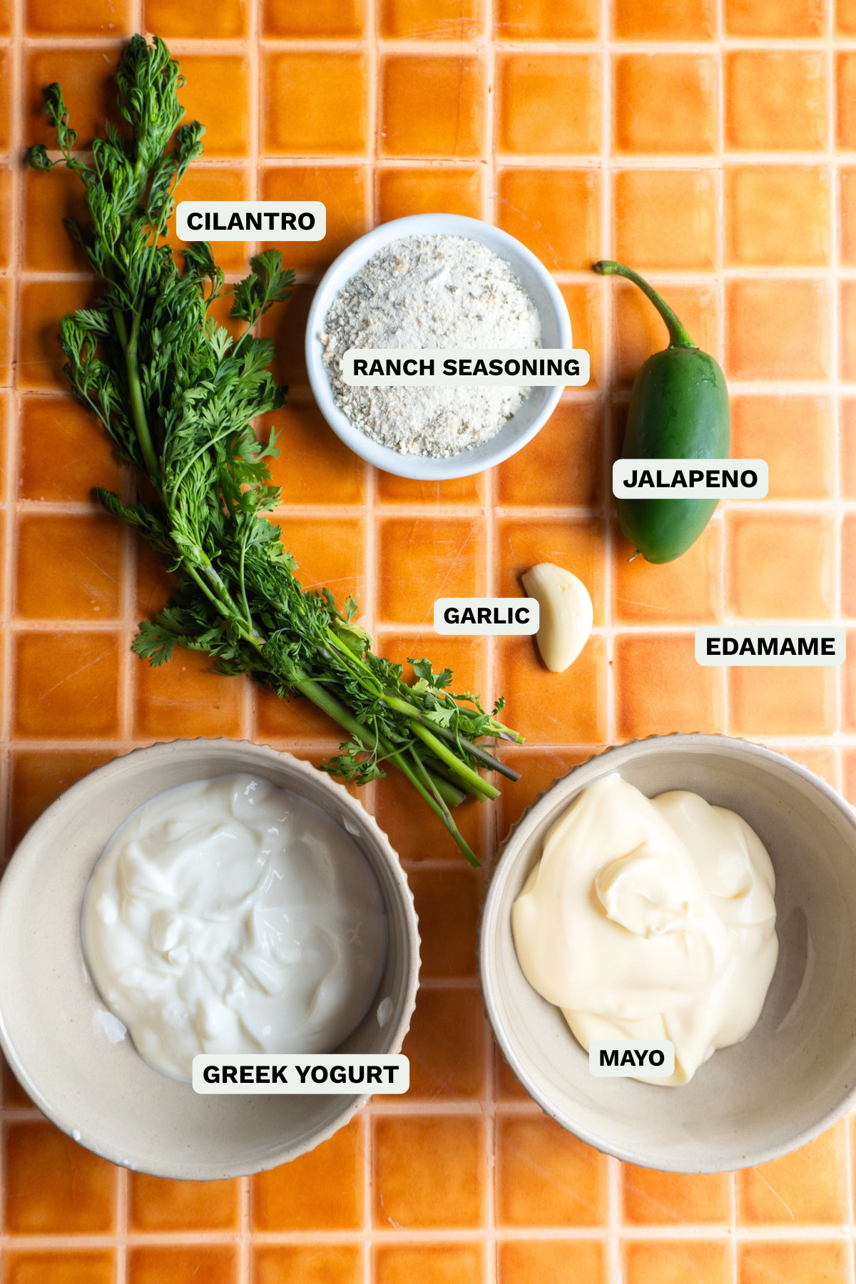 Ingredients needed to make cilantro ranch.